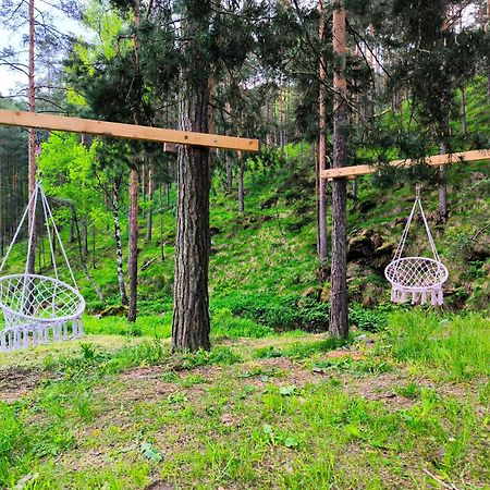 Vila Pogled Wellness I Spa Divčibare 외부 사진